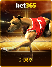 BET365 가상개경주